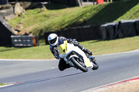 brands-hatch-photographs;brands-no-limits-trackday;cadwell-trackday-photographs;enduro-digital-images;event-digital-images;eventdigitalimages;no-limits-trackdays;peter-wileman-photography;racing-digital-images;trackday-digital-images;trackday-photos